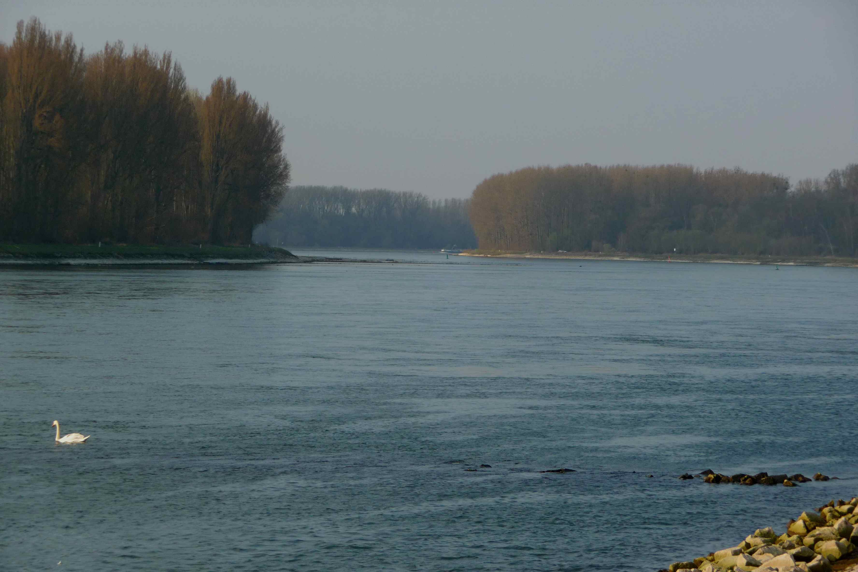 Heimat – die schwierige Frage