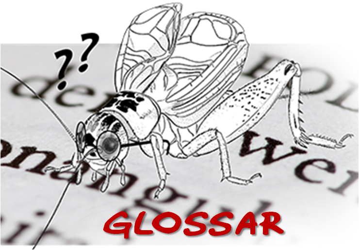 Glossar Nr. 2: Schluckauf