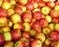 Cidre: das perlende Prickeln aus der Normandie