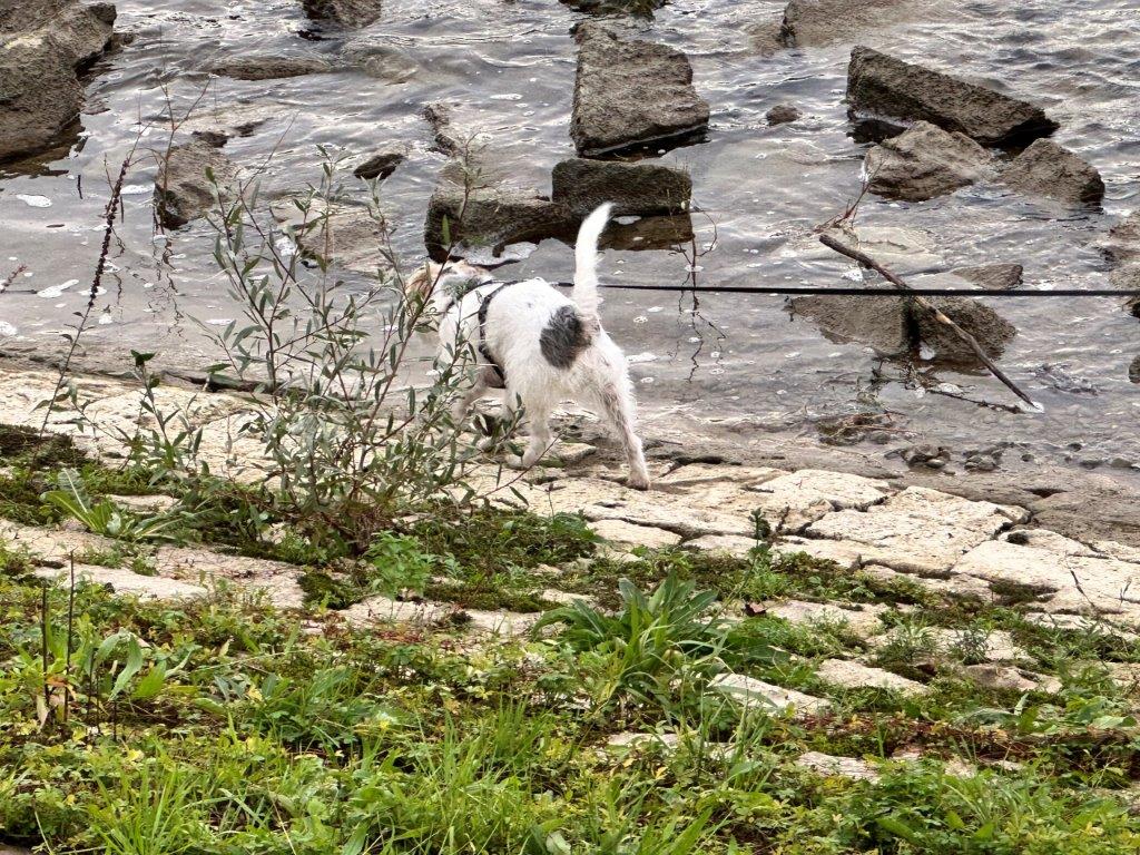 Kein leichter Job